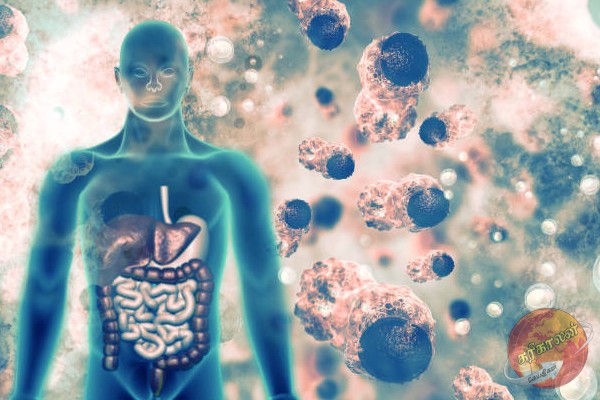 உடலில் உள்ள நச்சுக்களை நீக்கணுமா? அப்போ இந்த உணவு அடிக்கடி சாப்பிடுங்க