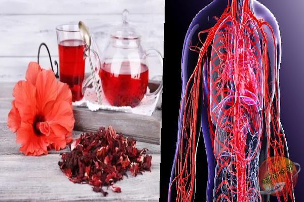 உடல் நாள நரம்புகளை சுத்தம் செய்யும் செம்பருத்தி டீ! வேறென்ன நன்மைகள் உள்ளது?