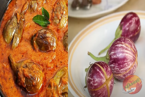 கிராமத்து மண்வாசனையில் கத்தரிக்காய் குழம்பு! காரசாரமான ரெசிபி இதோ