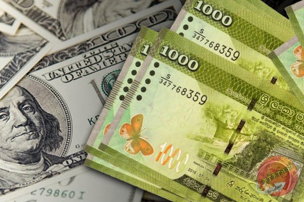 அமெரிக்க டொலருக்கு நிகரான இலங்கை ரூபாவின் பெறுமதியில் ஏற்பட்டுள்ள மாற்றம்