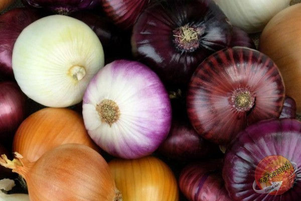 பெரிய வெங்காயத்திற்கான இறக்குமதி வரி திருத்தம்!