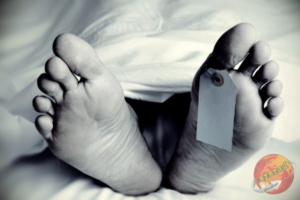 யாழில் பாம்பு தீண்டியவர் மரணம்