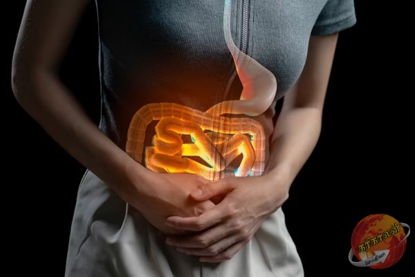 தினமும் ஒரு வெற்றிலை சாப்பிட்டால் இத்தனை நன்மைகளா!