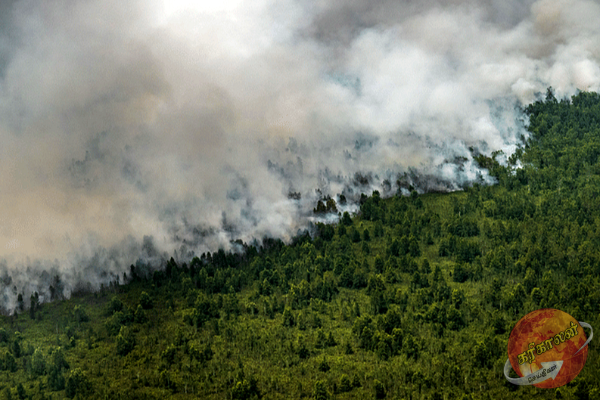 அதிகரிக்கும் காட்டுத்தீப் பரவல் ; அனர்த்த முகாமைத்துவ நிலையம் எச்சரிக்கை