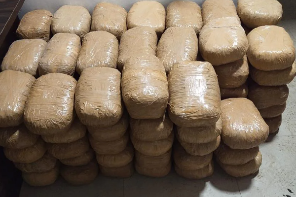 தமிழர் பகுதியில் பெருந்தொகை கேரள கஞ்சா பறிமுதல்