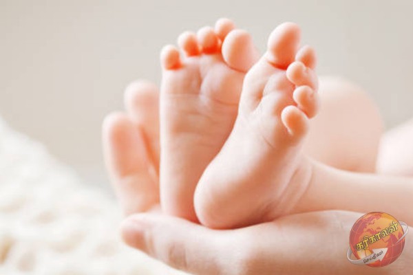 யாழ்.மாவட்டத்தில் குழந்தைகள் பிறப்பு வீதம் அதிகரிப்பு