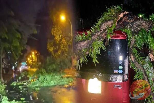 கொழும்பில் தொடரும் சீரற்ற வானிலையால் ஏற்பட்ட அனர்த்தங்களில் ஐவர் காயம்