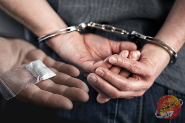 யாழில் பெருந்தொகை கஞ்சாவுடன் மூவர் கைது