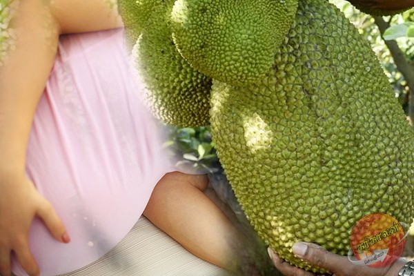 கர்ப்பிணி பெண்ணின் வயிற்றில் பலாக்காய் விழுந்து சிசு மரணம்