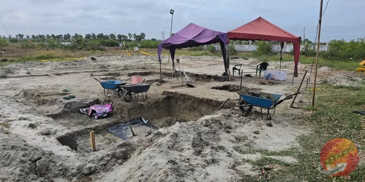 யாழ்ப்பாணம் செம்மணி மனித புதைகுழிகளில் இருந்து இன்றைய தினம் எவ்வித எலும்பு கூட்டுத் தொகுதிகளும் அடையாளம் காணப்படவில்லை