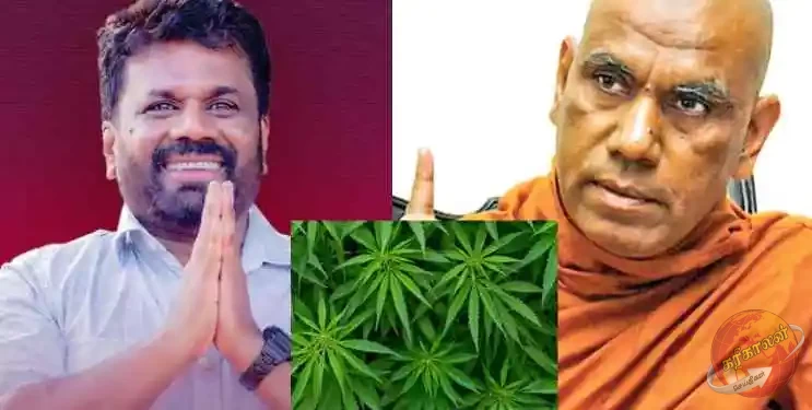 தங்காலை ‘ஐஸ்லாந்து’ ஆவதை தடுத்துள்ள அரசாங்கம், மீரிகமையை ‘கஞ்சா தோட்டமாக’ மாற்றுவது சரியா? என ஓமல்பே சோபித தேரர்