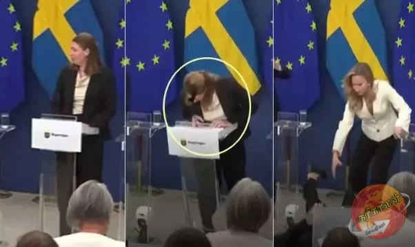 சுவீடனில் எலிசபெத் லான் என்பவர் சுகாதாரத்துறை அமைச்சராகப் பதவியேற்று சிறிது நேரத்தில் மயங்கி விழுந்த சம்பவம் பெரும் பரபரப்பை ஏற்படுத்தியுள்ளது.