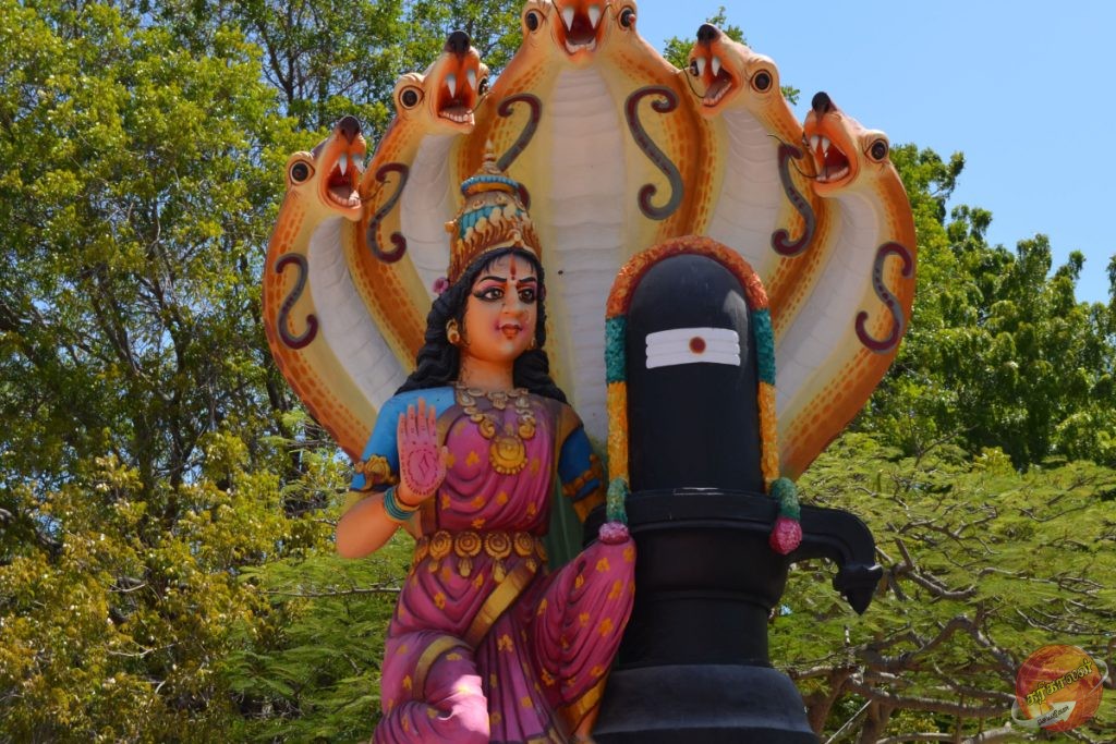 யாழ்ப்பாணம் குறிகட்டுவான் சுற்றுவட்டத்தில் அம்மன் சிலை!