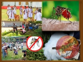 அனைத்து பாடசாலைகளிலும் 18ஆம் திகதி டெங்கு ஒழிப்பு வேலைத்திட்டம்