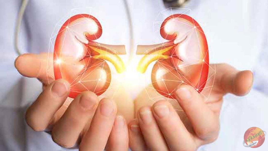 சிறுநீரக நோய் குறித்து வெளியான அதிர்ச்சிகரமான தகவல்