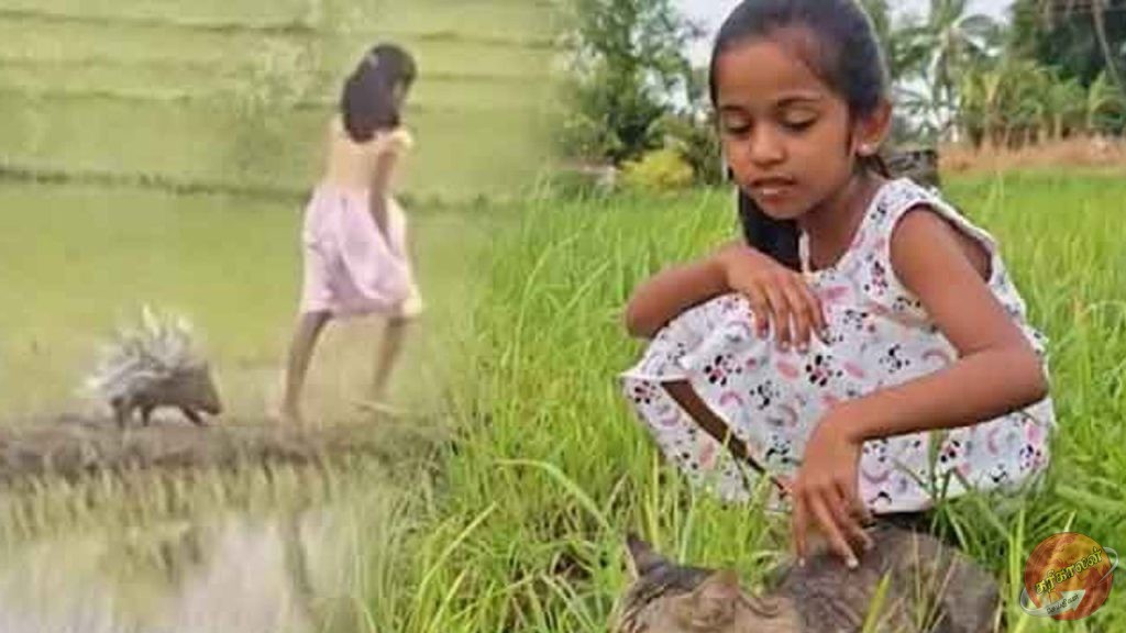 உலகை நெகிழ வைத்த இலங்கை சிறுமி