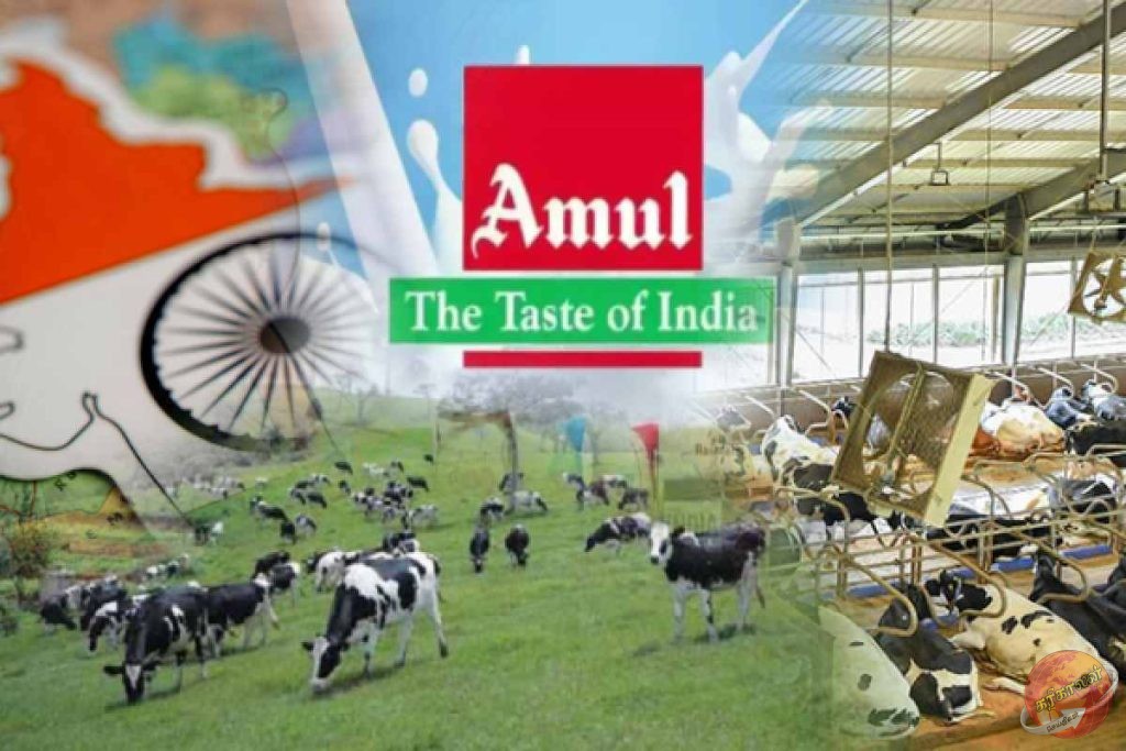 இலங்கை பால்பண்ணை விவசாயிகளுக்கு நற்செய்தி