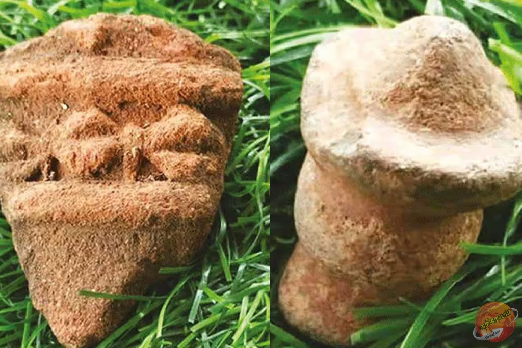 3 ஆயிரம் ஆண்டுகள் பழமையான பானை ஓடுகள் கண்டுபிடிப்பு