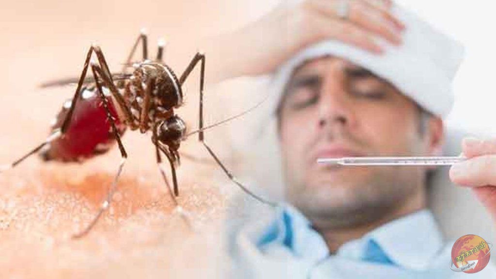 நாட்டில் இதுவரை 86,000 டெங்கு நோயாளர்கள் பதிவு: 62 பேர் பலி