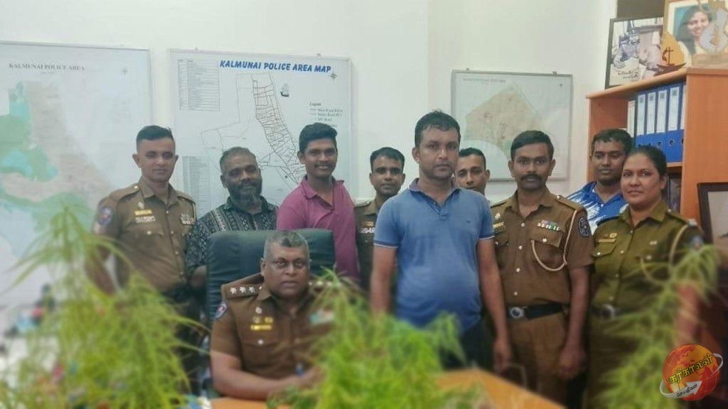 மொட்டை மாடியில் கஞ்சா செடியை வளர்த்தவர் கைது