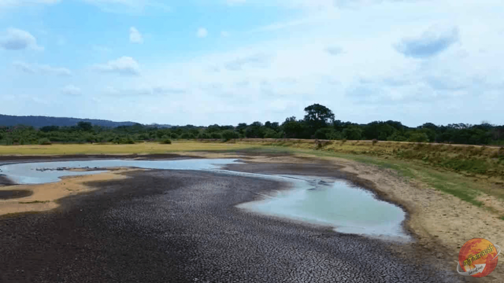35 சதவீதமாக சரிந்தது நீர்மட்டம்